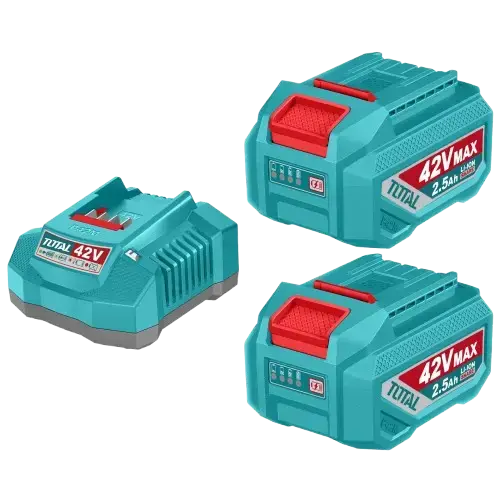 KIT/SET 2 BATERÍAS LITIO-ION 2.5Ah + CARGADOR RÁPIDO 2A 42V INDUSTRIAL - imagen 1