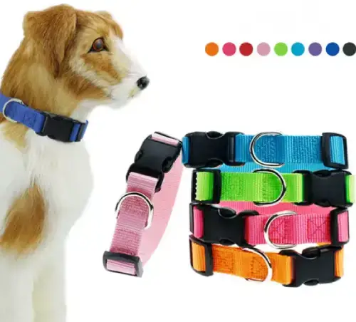 Collar con Broche L (50×2) - imagen 2