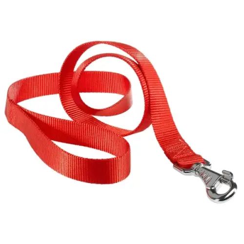 Correa Paseo Cinta S (120×1,5) - imagen 2