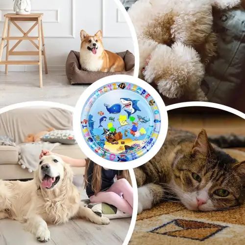  Almohadilla De Agua Para Mascotas, Juguete Acuático Sensorial - imagen 2