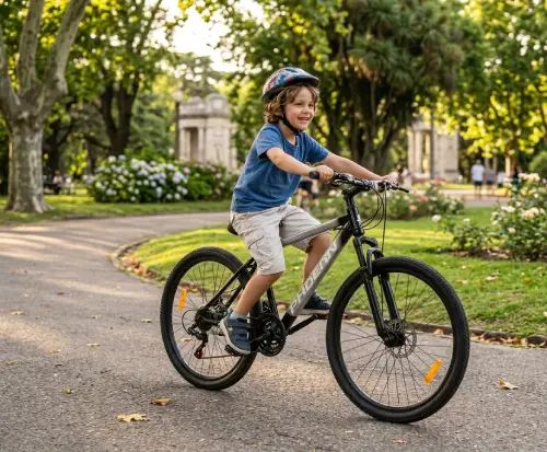 BICICLETA RODADO 26 - imagen 2