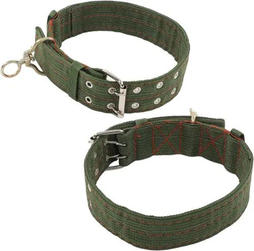 Collar Reforzado Doble Hebilla - imagen 2
