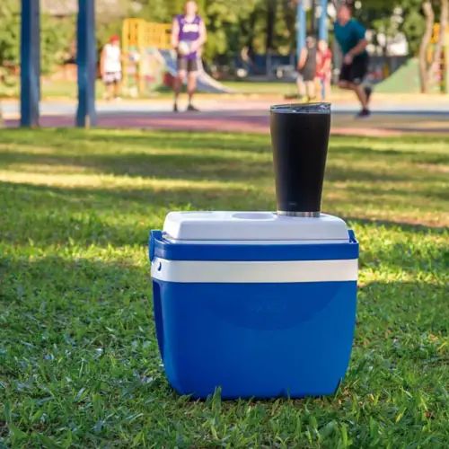 CONSERVADORA 75L MOR VARIOS COLORES - imagen 3