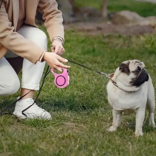 Correa Retráctil de 5Metros para Perros de hasta 15kg - imagen 2