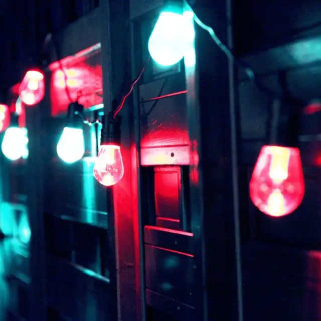 Guirnalda Vintage Interior Exterior Multicolor 12 Leds - imagen 2