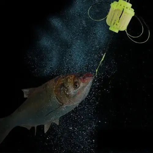 Anzuelo Canasta para Pesca - imagen 3
