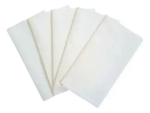 Pañuelos Descartables Blíster X10 - imagen 2