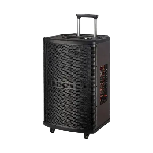 CAJA AMPLIFICADA 18'' 76x49x49cm 2 Micrófonos inalámbricos y control remoto - imagen principal