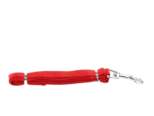 Correa Longer EXTRA Larga (3mx3cm) - imagen 2