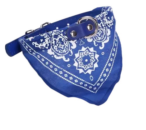 Collar con Bandana Pañuelo para Mascota (38x2) - imagen 2