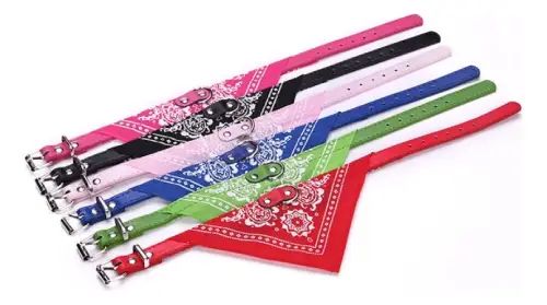 Collar con Bandana Pañuelo para Mascota (38x2)