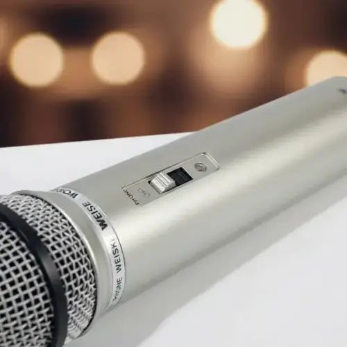 Micrófono Dinámico Weisre DM-701 con Cable 2,5m - imagen 3