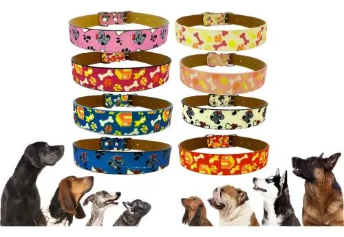 Collar Multicolor Talle B (54×2.5cm) PET - imagen 2