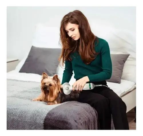 Cepillo secador para mascotas 220V con 2 velocidades - imagen 2