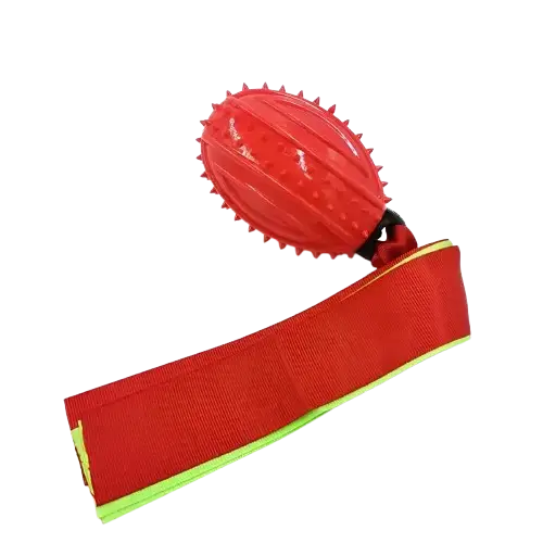 Pelota con Chifle y Cintas Interactivo Resistente para Perros - imagen principal