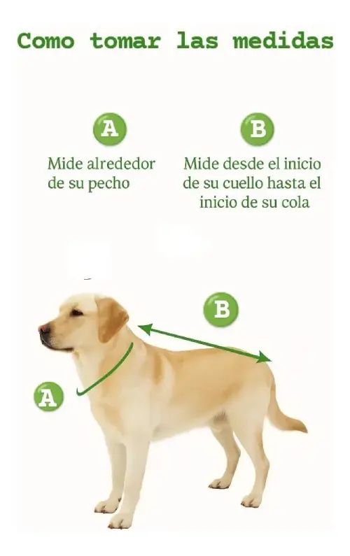 Buzo Polar Liso Talle 1 (varios colores) Perros Pequeños - imagen 3