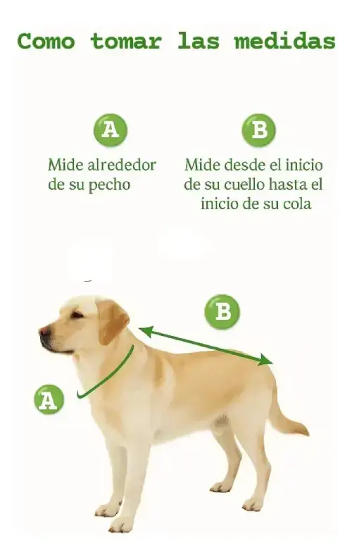 Buzo Polar Liso Talle 1 (varios colores) Perros Pequeños - imagen 3